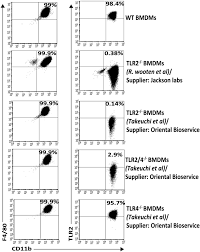 * categorii de persoane care beneficiază de reduceri cu 50% pentru abonamentele lunare, conform h.g. Macrophage Cytokine Responses To Commensal Gram Positive Lactobacillus Salivarius Strains Are Tlr2 Independent And Myd88 Dependent Scientific Reports