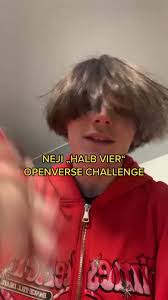 hab bei der #openversechallenge von @neji.mp3 mitgemacht💕 #nejimp3 #fy  #fyp #openverse #music #underground #deutschrap #newcomer