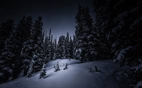 We did not find results for: 480x854px Free Download Hd Wallpaper Trees With Snow Winter Forest Night Nature Landscape Dark Wallpaper Flare
