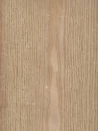 The drug is from the peeled root of the plant (root bark). Sassafras Veneer Ulrich Veneers
