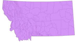 Image result for Federal Yellow 1956 Idaho State of