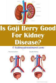 Pin On What Is Kidney Disease