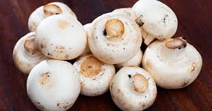 How long do canned mushrooms keep in the refrigerator? Can You Freeze Mushrooms Here S How To Get It Right