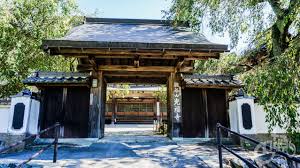 寺社仏閣or建築好きなら見ておくべき。光福寺は大イトザクラだけじゃなく本堂もすごかった。 | いなちくロングライド因幡街道・千種川ロングライドin佐用