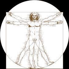 Leonardo da vinci's drawing vitruvian man (l'uomo vitruviano). Download Certificates Leonardo Da Vinci Vitruvian Man Tattoo Png Image With No Background Pngkey Com