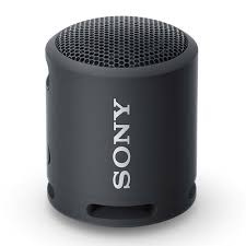 Portable Speaker