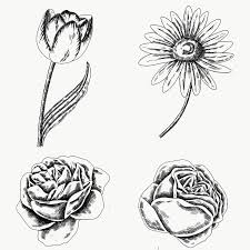 Download Premium Png Of Vintage Flower Drawing Set Transparent Png 2091337 Vintage Flowers Flowers Drawings