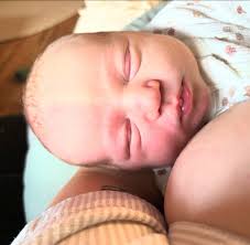 Image result for Harlequin Color Change