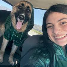 Dog daycare experiences and recommendations needed