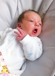 Bob at the Movies: 'Good Boys'