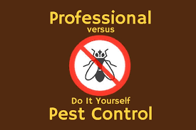Four of its five employees are state certified pest control operators. Professional Vs Diy Pest Control Varment Guard Wildlife Services
