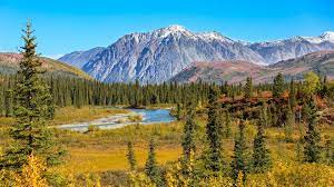 But of course, you don't have to. Denali National Park Alaska Holidays Steppes Travel
