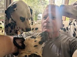 My work from home buddy throughout the day. So glad someone got to sleep😂 