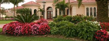 Google Image Result For Http Www Southernturf Net Images Cms Landscaping Image3 Jpg Southern Landscaping Florida Landscaping Residential Landscaping