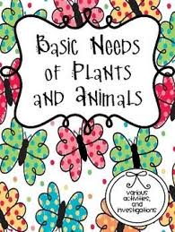 Basic Needs Of Animals And Plants Kindergarten Science Science Lessons First Grade Science