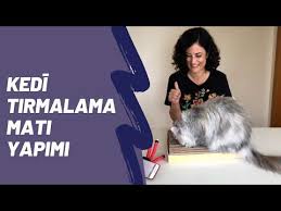 Kolayca Kedi Tirmalama Mati Yapip Mobilyalarinizi Kurtarin Youtube Kedi Youtube Evcil Hayvanlar