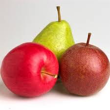 Image result for Rosaceae