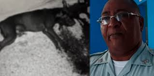 DUEÑA DE PERRO ASESINADO Y SUPUESTOS TESTIGOS CULPAN AL MAYOR BERROA Y LA  PN LO SUSPENDE