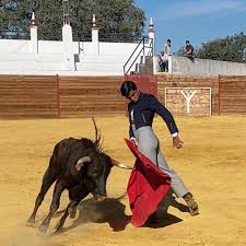 TOROS Y CIUDAD MANIZALES – Taurinos Solidarios