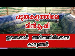 See more of kerala agriculture and rural development society on facebook. Fish Farming In Kerala How To Start Fish Farming Malayalam 2019 Youtube