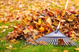 Dozens of rake types are out there to choose from, and not all are suitable for gathering leaves. What Is A Leaf Rake Used For Learn When To Use A Leaf Rake In The Yard