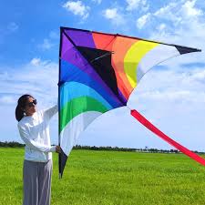 Simxkai Best Kites for Beach, Big Kites for Adults, Giant Kite Large Kites  for Adults, with Super Long Tail by : Buy Online at Best Price in KSA - ...