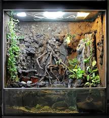 Pin On Vivarium