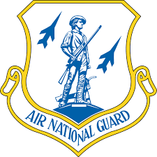 Pin On Air Guard
