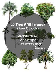 20 Tree Png Images Free Cutouts For Architecture Landscape Interior Renderings Interior Rendering Landscape Architecture Graphics Tree Photoshop