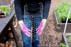Recommended products more container gardening posts Diy Hanging Flower Basket Made With Chicken Wire And Moss One Hundred Dollars A Month