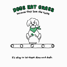 Why Do Dogs Eat Grass Dog Health Tips Iams