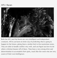 Myers Briggs Mbti Spirit Animals Intj And Infj Intj Intp Mbti