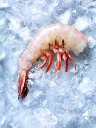 Sf Bay Area Food Photographer James Ellerker Raw Shrimp Photographing Food Food Still Life Photographers