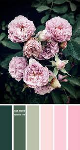 Check spelling or type a new query. Green And Pink Color Scheme Color Palette 59 1 Fab Mood Wedding Colours Wedding Themes Wedding Colour Palettes
