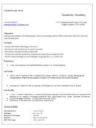 professional resume formats b tech