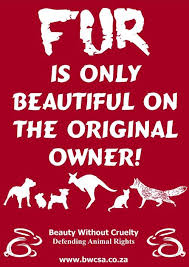 Pin By Artist Daly Rios On Animals Animal Rights Animal Cruelty Words