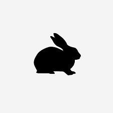 The new zealand rabbit despite the name, is american in origin and originated in california from rabbits imported from. New Zealand White Rabbit Plasma Odin Bioscience