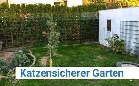 Nicht jede wohnlage oder wohnung bietet die nötige sicherheit, um unseren fellnasen freigang zu ermöglichen. Katzensicherer Garten Mit Plexiglas Plattenzuschnitt24 De Blog