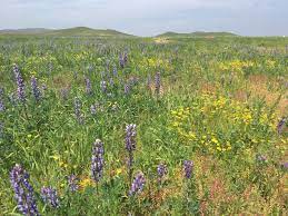 Lake mathews estelle mountain reserve. Reserves Rchca Ca