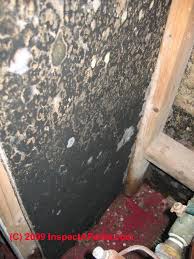 The first reason you want to remove drywall that has started to grow black spots on it is because it's unsightly. What Does Black Mold Look Like Toxic Black Mold Growth