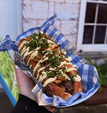 Image result for Vausagesia