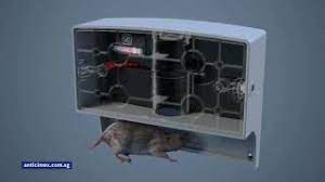 Terminix commercial rodent control will remove any infestation, eliminate any commercial rodent control. New Anticimex Smart System Introduction Youtube