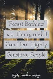 Forest Bathing Is A Thing And It Can Heal Highly Sensitive People Forest Bathing Highly Sensitive People Sensitive People