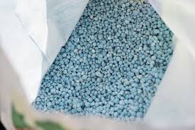 Blaukorn gehört wohl zu den umstrittensten düngemitteln, die auf dem markt vertrieben werden. Buchsbaum Mit Blaukorn Dungen K Eine Gute Idee