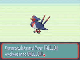 Pokemon Taillow Evolves In Pokemon Sapphire Youtube