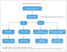 Image result for COPD Exacerbation Prevention