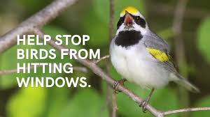 But because of the weak protections afforded to livestock under state cruelty laws, only the most shocking cases are reported, and few are ever prosecuted. Our Work