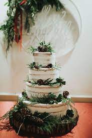 Hollyhedge Estate Pennsylvania Wedding Philadelphia Suburban Wedding Winter Wedding Ch Christmas Wedding Cakes Winter Wedding Cake Christmas Wedding Themes
