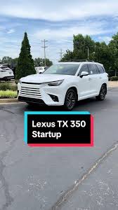 Image result for Wind Chill 2024 TX