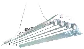 Fluorescent lights are nothing new to cannabis growers. 4 3000k Red Bloom Lightingwise 4 Ft 3000k T5 Ho Fluorescent Grow Light Bulbs Pack Of 1 4 8 20 40 Patio Lawn Garden Indoor Gardening Hydroponics Swl13562 Nl